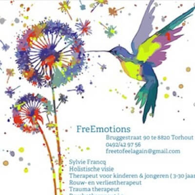 Sylvie Francq, FreEmotions FreEmotions Sylvie Francq